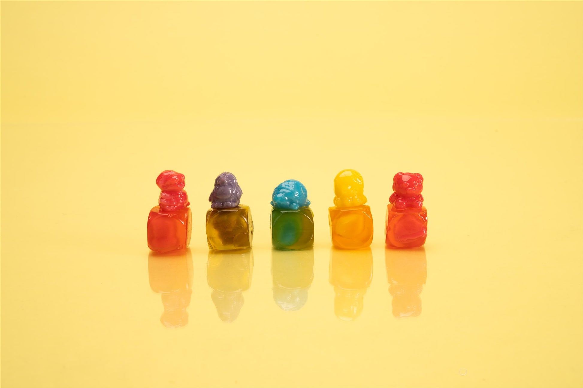 gummy candy animals on top of gummy candy cubes